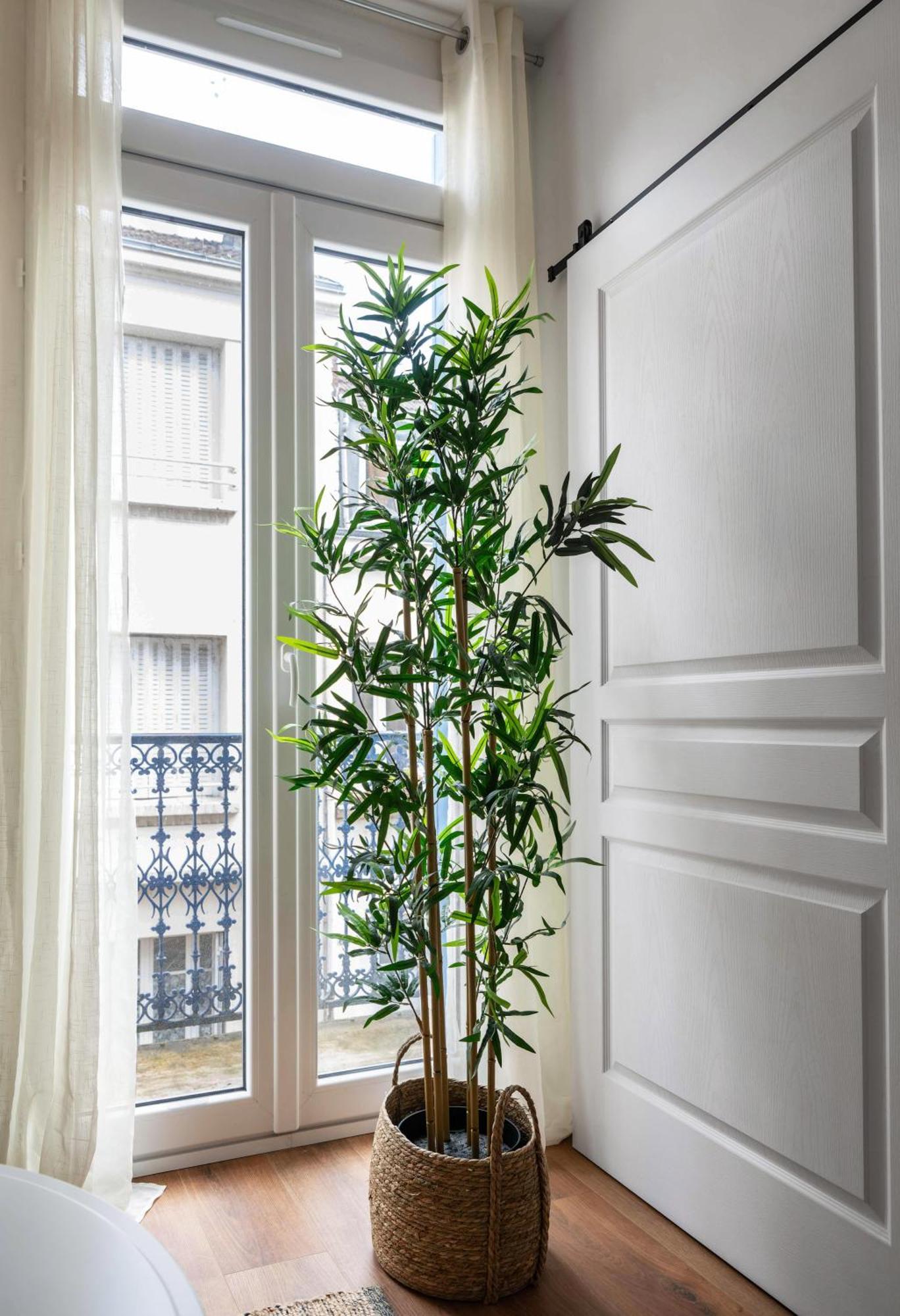 Poe-tehani - Design - Centre Apartment Vichy
